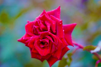 IMG_0087