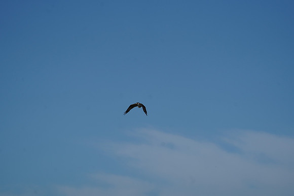 DSC08169