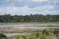 DSC03405