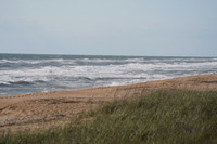DSC00596