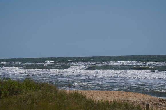 DSC00602