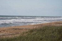 DSC00594