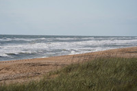 DSC00598