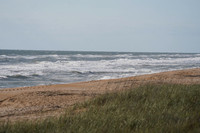 DSC00595