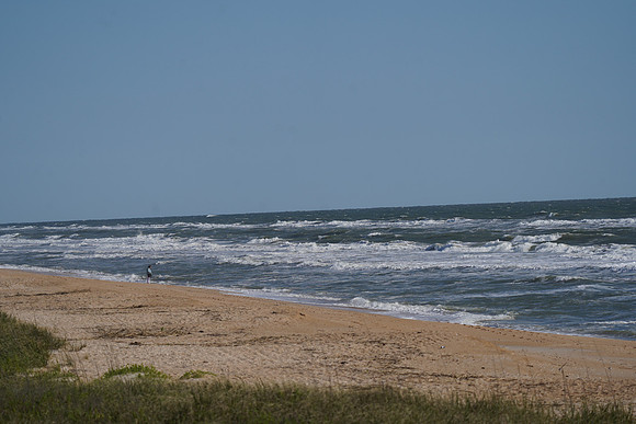 DSC00585