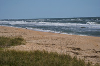 DSC00590