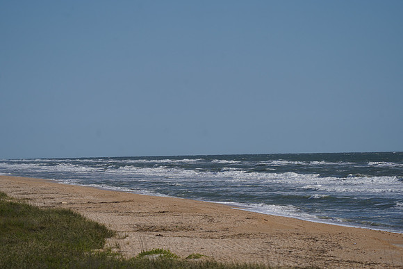 DSC00600