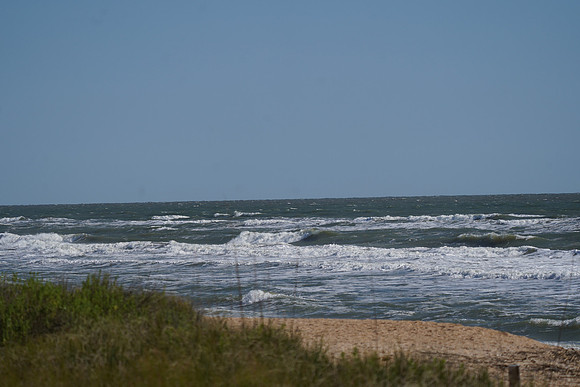 DSC00603