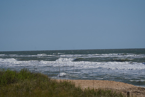DSC00604