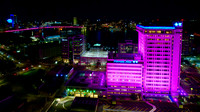 2021 Pink Ribbon