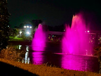 IMG_5756