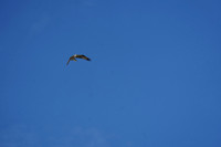 DSC08066