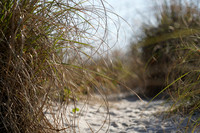 DSC09670