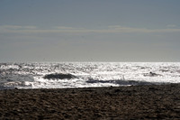DSC09686