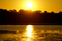 DSC08447
