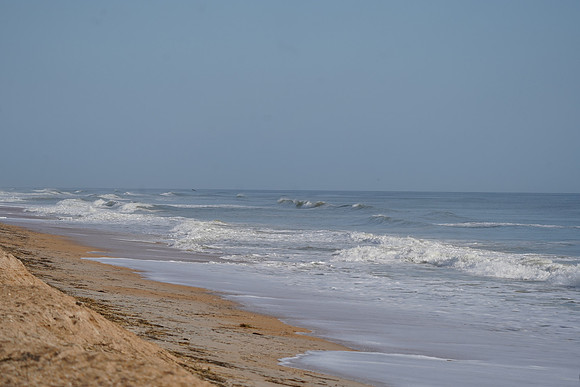 DSC09820