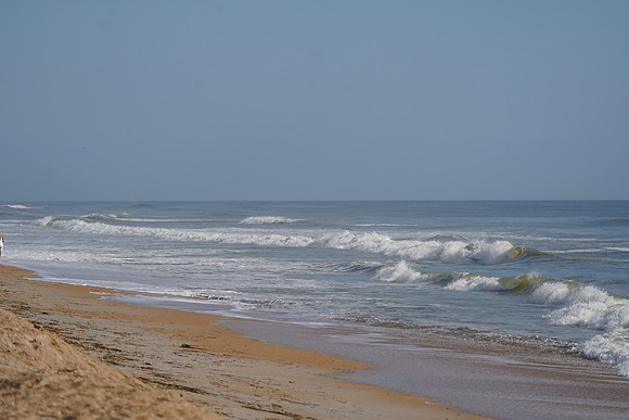 DSC09831