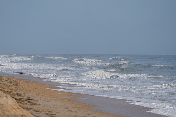 DSC09823