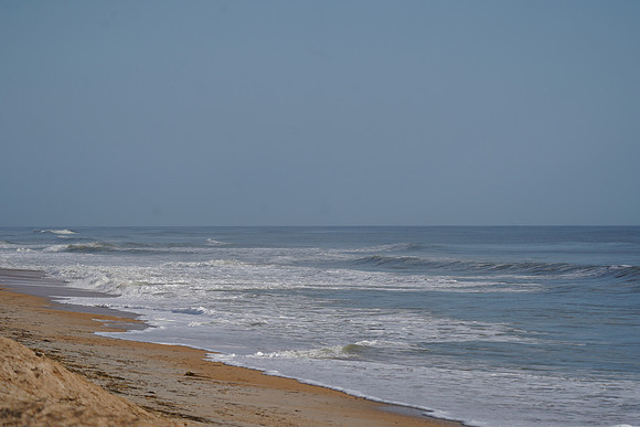 DSC09835