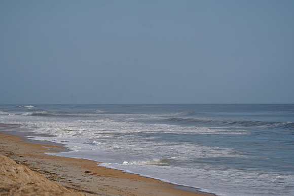DSC09834