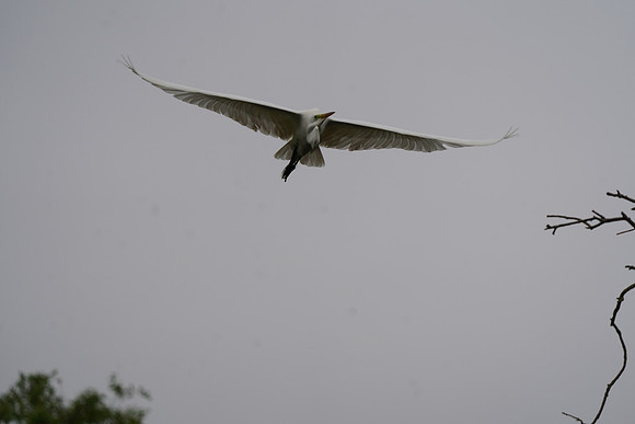 DSC00014