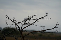 DSC09198