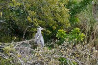 DSC09537