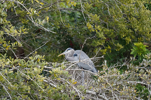DSC09544