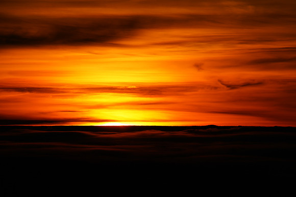 DSC04910
