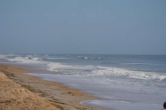 DSC09822