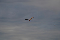 DSC08640