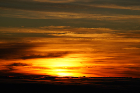 DSC04905