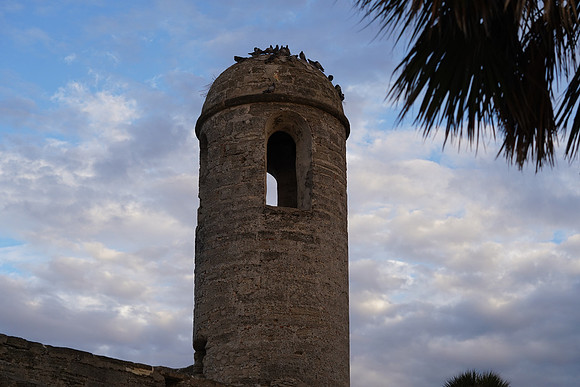 DSC08645