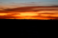 DSC04731