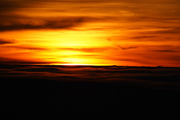 DSC04895
