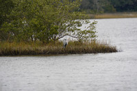 DSC09401