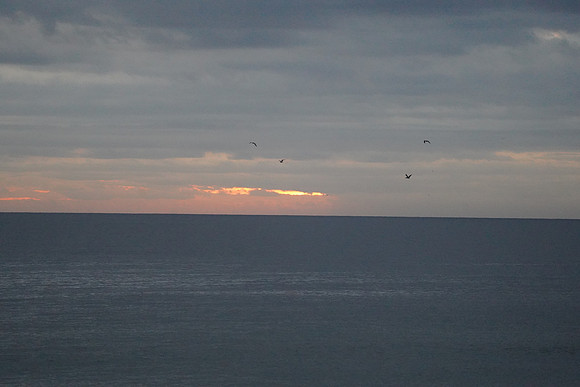 DSC08713
