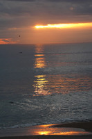 DSC08722