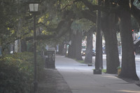 DSC03683