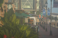 DSC03678