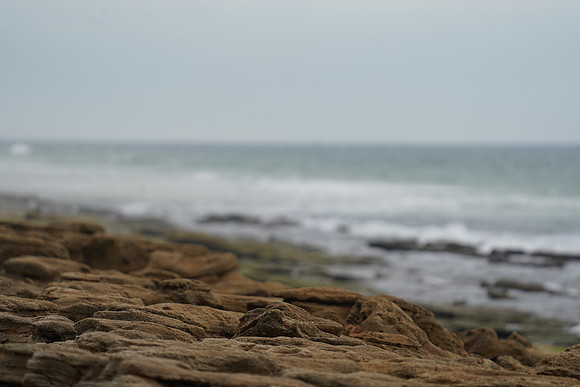DSC08825