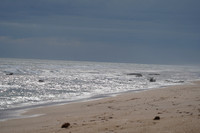 20201212 Washington Oaks Ocean