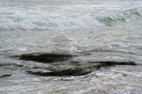 DSC08771
