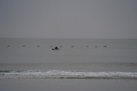 DSC01421
