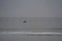 DSC01423