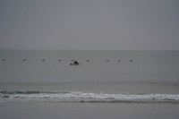 DSC01419