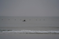 DSC01420