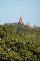 DSC09166