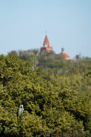 DSC09167