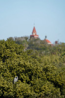DSC09165